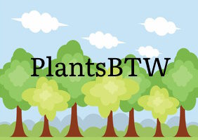 Plants BTW